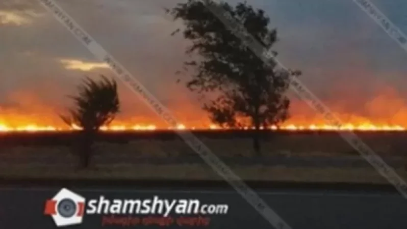 Խոշոր հրդեհ Արմավիրի մարզում. հրշեջներն ու քաղաքացիները պայքարում են կրակի տարածման դեմ