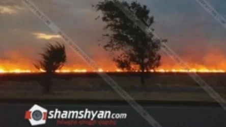 Խոշոր հրդեհ Արմավիրի մարզում. հրշեջներն ու քաղաքացիները պայքարում են կրակի տարածման դեմ