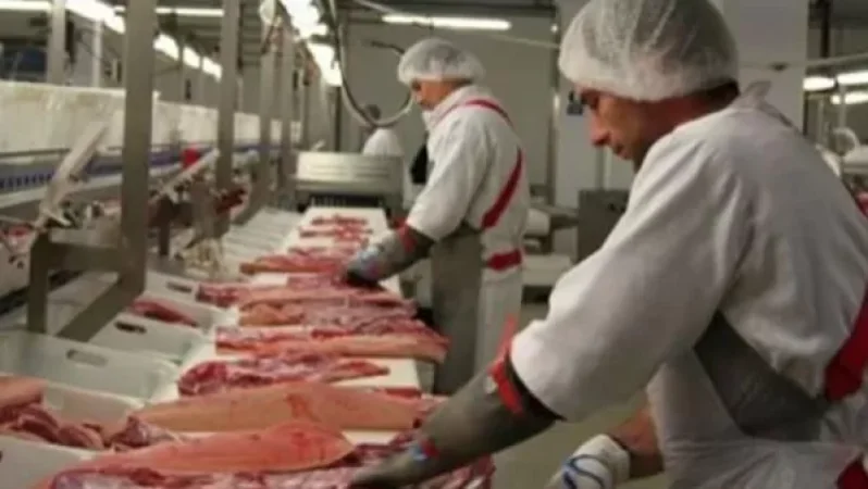 «Ժամանակ». Պարապուրդ սպանդանոցներում. ինչ են պահանջում դրանց տերերը