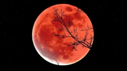 ՏԵՍԱՆՅՈՒԹ. Տեղի է ունեցել լուսնի ամենաերկար մասնակի խավարումը վերջին 500 տարվա ընթացքում