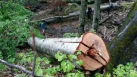 Պատճառվել է 1,375,205 ՀՀ դրամի վնաս