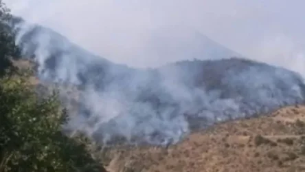 ՏԵՍԱՆՅՈՒԹ․ Հրդեհաշիջման աշխատանքները վերսկսվել են․ «Արևիկ» պարկում 8 մարտական հաշվարկ կա