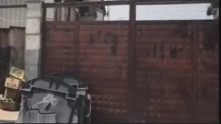 ՏԵՍԱՆՅՈՒԹ. Գողացել են Երևանի աղբամանները, տեղափոխել Մուսալեռ և մասնատել