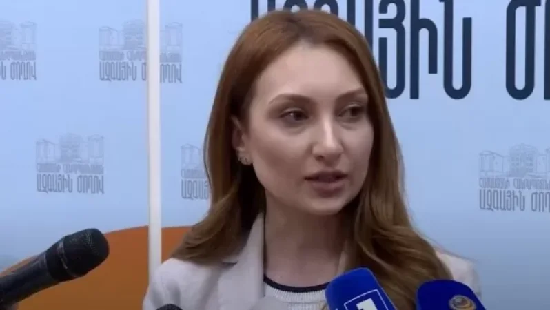 Սյունիքում վարչապետի այցի ընթացքում տեղի ունեցածն ակցիաներն էին՝ ուղեկցված խուլիգանական դրսևորումներով. Մակունց