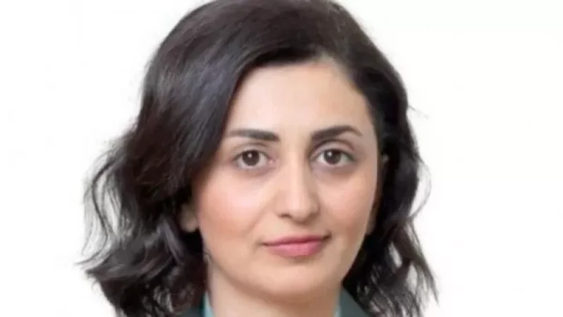 Սահմանին 18-ի լույս 19-ի գիշերը հրաձգային զինատեսակներից արձակել է շուրջ 70 կրակոց․ ՊՆ խոսնակ