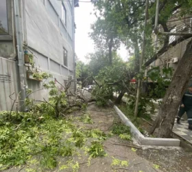 ԼՈՒՍԱՆԿԱՐՆԵՐ. Քամու հետևանքով վնասներ են եղել