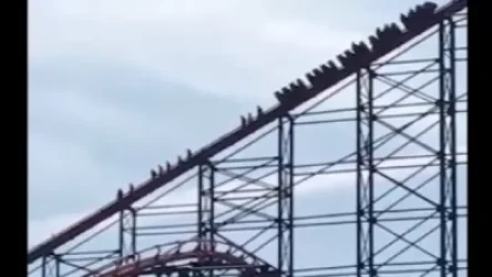 ՏԵՍԱՆՅՈՒԹ. Բրիտանական զվարճանքների այգում «Ամերիկանսկիե գորկի» կարուսելը փչացել է ամենաբարձր կետում