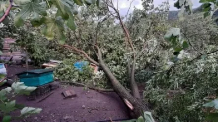 Նոյեմբերյանում քամին, կարկուտն ու հորդառատ անձրևը ավերներ են գործել. Նիկոլայ Գրիգորյան