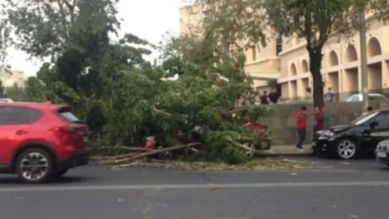 Ուժեղ քամու հետևանքով հաստաբուն ծառն ընկել է ավտոմեքենայի վրա. Երևան