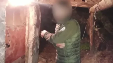 ՏԵՍԱՆՅՈՒԹ. Ագարակից 7 խոճկոր, 23 հավ էին գողացել, իսկ Յազդանից՝ 3 հորթ, 1 ոչխար ու գառ. հարուցվել է քրգործ