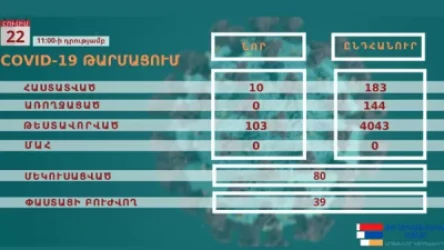 Արցախում կորոնավիրուսի 10 նոր դեպք է հաստատվել. վարակվածների ընդհանուր թիվը 193 է