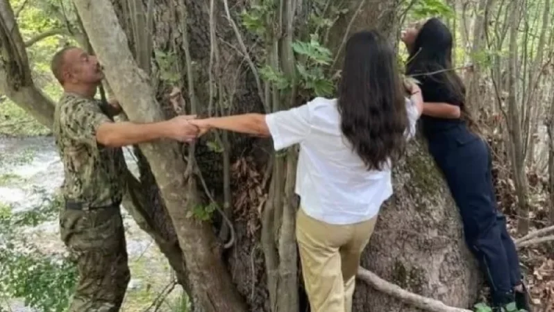 «Սոսիների պուրակն է. Ալիևներն արդեն Սյունիքի մարզով ազատ տեղաշարժվո՞ւմ են». Նարինե Կիրակոսյան