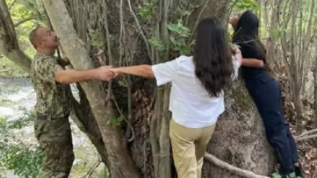 «Սոսիների պուրակն է. Ալիևներն արդեն Սյունիքի մարզով ազատ տեղաշարժվո՞ւմ են». Նարինե Կիրակոսյան