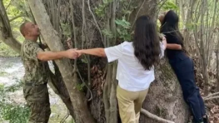 «Սոսիների պուրակի» մեծ մասն անցել է ադրբեջանական վերահսկողության տակ. լուրը հաստատեց Կապանի քաղաքապետը