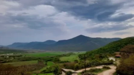 Թորքերը, երեկ ետ շպրտվելուց հետո, նորից առաջ են եկել. Բելլա Լալայան