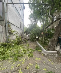 ԼՈՒՍԱՆԿՍՐՆԵՐ. Քամու հետևանքով վնասներ են եղել