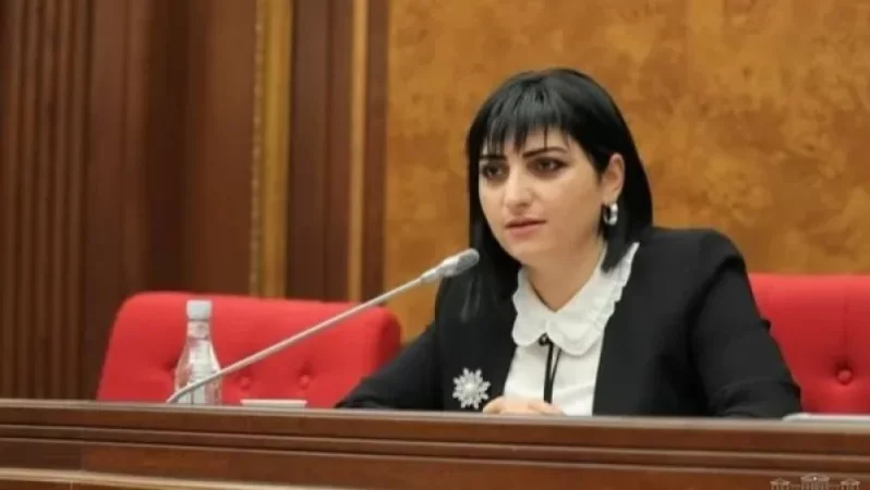 Եթե որևէ թեկնածուի ասվում է՝ չեմ ուզում քեզ լսել, կամ դու ինչո՞ւ ես եկել մեր համայնք, հիմա էդ մարդուն պետք է բռնեն տանե՞ն. Թովմասյան