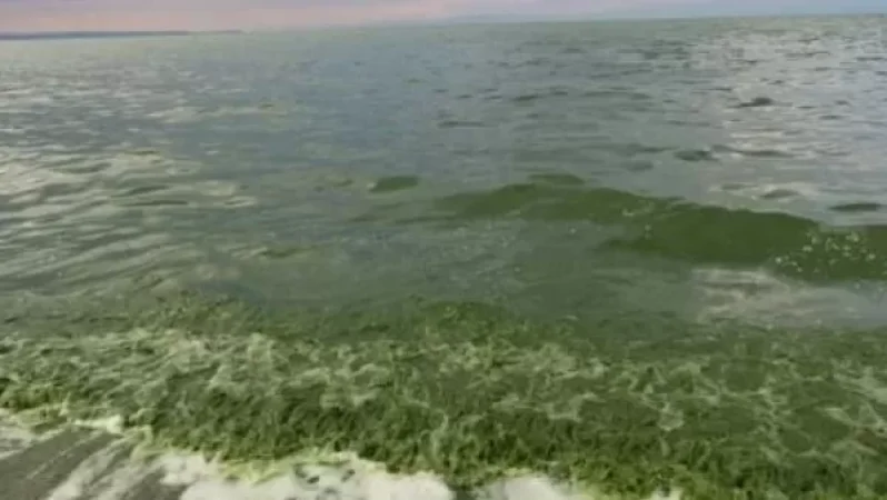 Մենք կանգնելու ենք Սևանը հիմնովին կորցնելու վտանգի առաջ. բնապահպան Վահագն Վարագյան