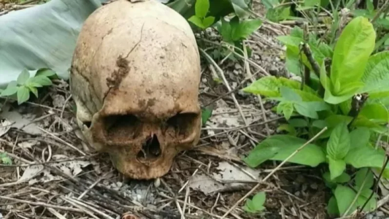 Կապուտան գյուղի դաշտում հայտնաբերվել է մարդու գանգ. ՔԿ-ն պարզում է հանգամանքները