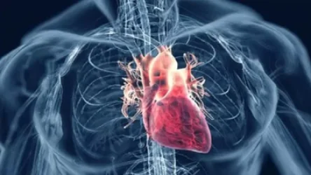 Գերմանացի գիտնականների մտահոգիչ եզրահանգումները՝ COVID-19-ի հետ կապված