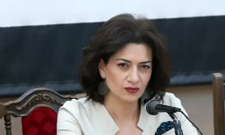 Allegations of Dark Deals Are 7 Months Delayed, Says Anna Hakobyan