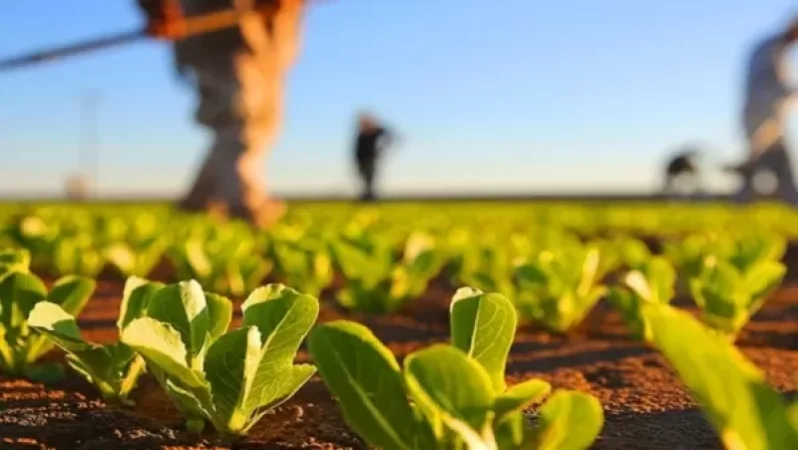 Հայաստանն ԱՄՆ-ից գյուղոլորտի համար 11 մլն դոլարի փոխառություն և 350 հազար դոլարի դրամաշնորհ կստանա