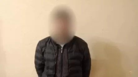 100-ից ավելի գողություն է արել. ձերբակալվել է