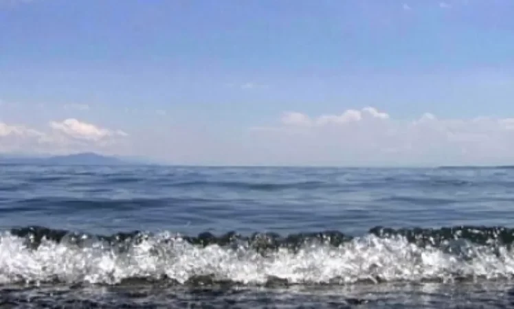 Սևանի լողափի մոտակայքում դի են հայտնաբերել