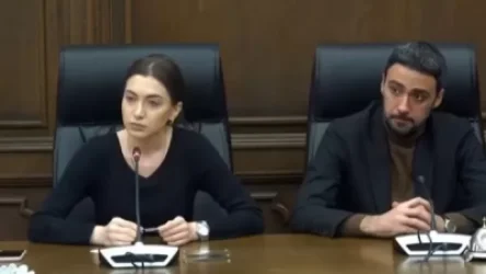 ՏԵՍԱՆՅՈՒԹ. Պետք է շիտակ խոսել. Աննա Մկրտչյանի և Վարդևանյանի ճեպազրույցը