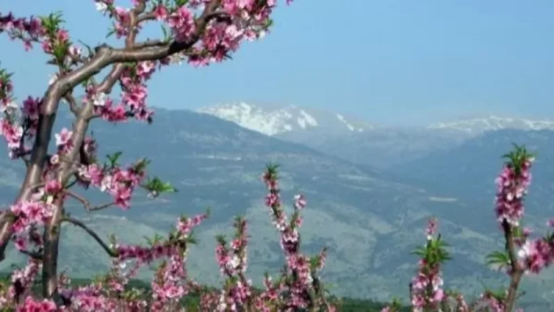 Եղանակը Հայաստանում