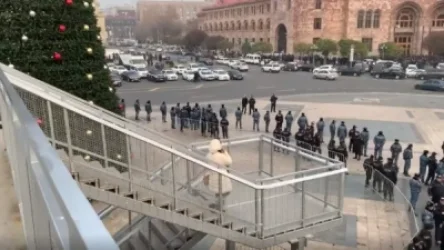 ՏԵՍԱՆՅՈՒԹ. Ոստիկանները շրջապատել են հանրապետության գլխավոր տոնածառը
