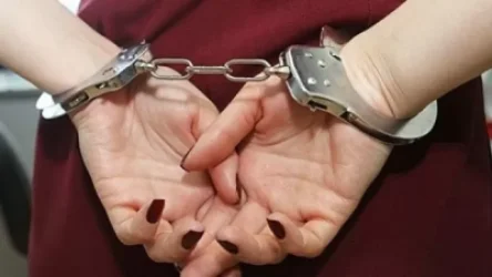 Հետախուզվող  կինը Մոսկվա-Երևան չվերթով տեղափոխել է Հայաստան