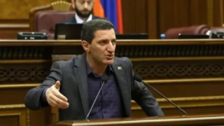 ԲՀԿ-ն որևէ կերպ կապ չունի Հրայր Թովմասյանի անձի հետ. Պետրոսյան