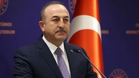 Չավուշօղլուն` Թուրքիայի և Հայաստանի հատուկ ներկայացուցիչների հանդիպման մասին