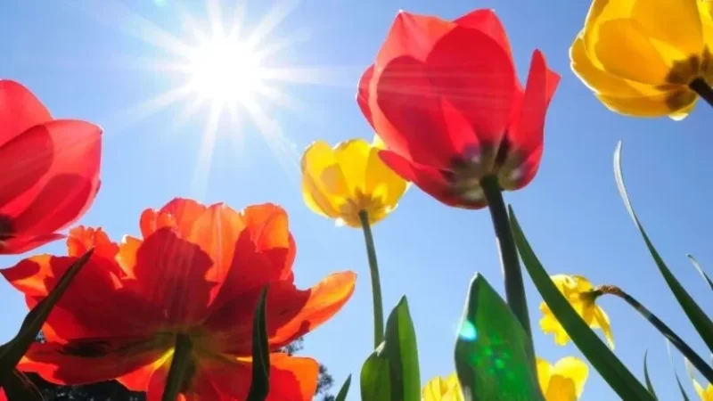 Եղանակը ՀՀ-ում․ օդի ջերմաստիճանը աստիճանաբար կբարձրանա