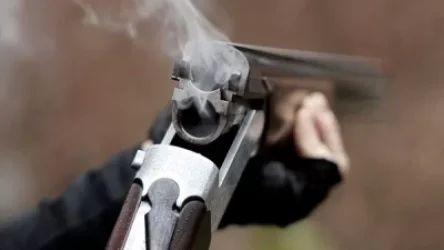 Սպանություն Գեղանիստ գյուղում