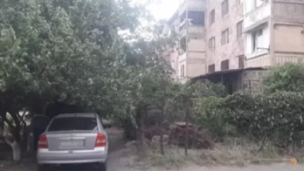 21 և 22 տարեկան երիտասարդները մեքենաների համարանիշեր էին գողացել ու բռնվել