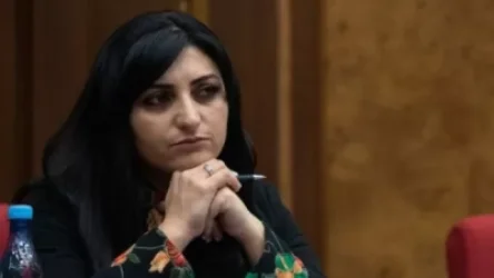 Վարդենիսի հիվանդանոցում արձանագրված երեխայի մահվան դեպքը անասելի զայրացնող է․ պատգամավոր