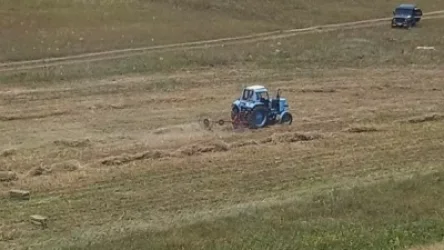 Ադրբեջանցիները դեպի գյուղացիներն են ուղղել զենքերը և սկսել են սպառնալ, գոռգոռալ ու թույլ չեն տվել հավաքել խոտը. ՄԻՊ