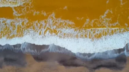 ՏԵՍԱՆՅՈՒԹ․  Սև ծովը հանկարծակի ոսկեգույն է դարձել