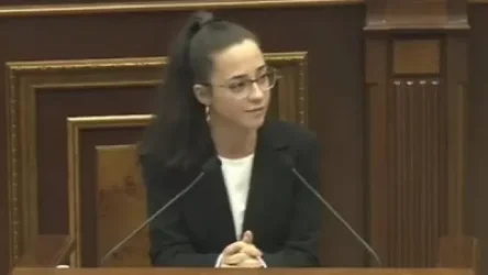 Ուզում ենք «օդի տուրքը» բոլոր ուղևորների համար հանենք․ Տաթևիկ Ռևազյան