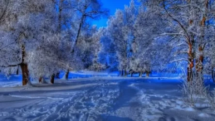 Առաջիկա 4 օրվա եղանակի կանխատեսում