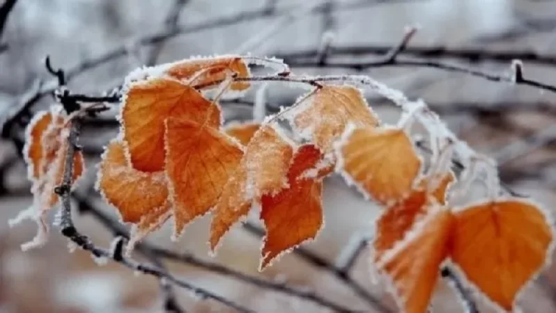 Օդի ջերմաստիճանը կնվազի.առաջիկա օրերի եղանակը