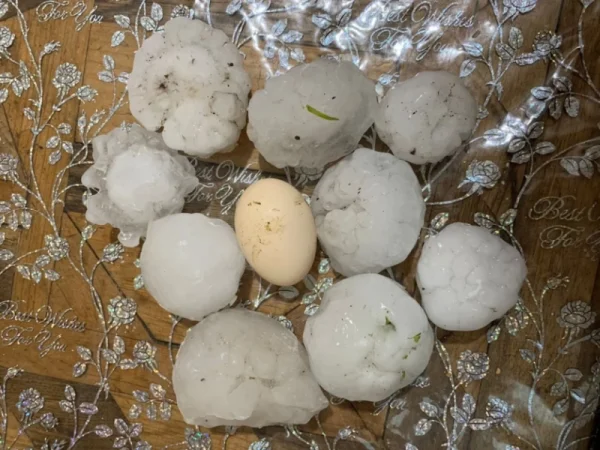 ԼՈՒՍԱՆԿԱՐՆԵՐ. Ժամեր առաջ Փամբակ համայնքում տեղացած կարկուտի հետևանքները