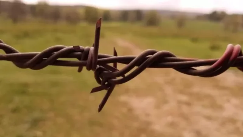 A New Military Unit Begins Operations on Azerbaijan's Border with Armenia