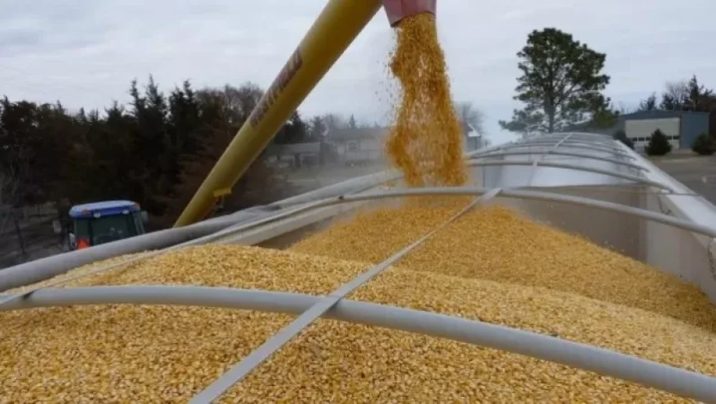 Ռուսաստանը դադարեցնում է մասնակցությունը հացահատիկի գործարքին. ՌԴ ՊՆ