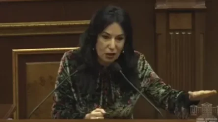 «Զապաս» 40 հատ Սահմանադրություն ունեմ, կարող եմ նվիրել ինձ դաս տվողներին․ Զոհրաբյան