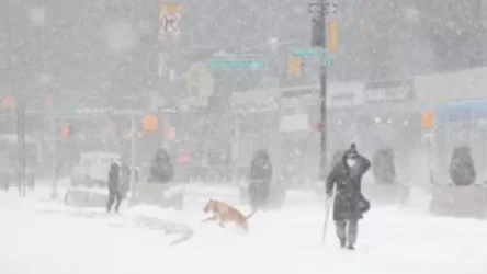 ԱՄՆ-ում ձնաբքի զոհերի թիվը հասել է 50-ի