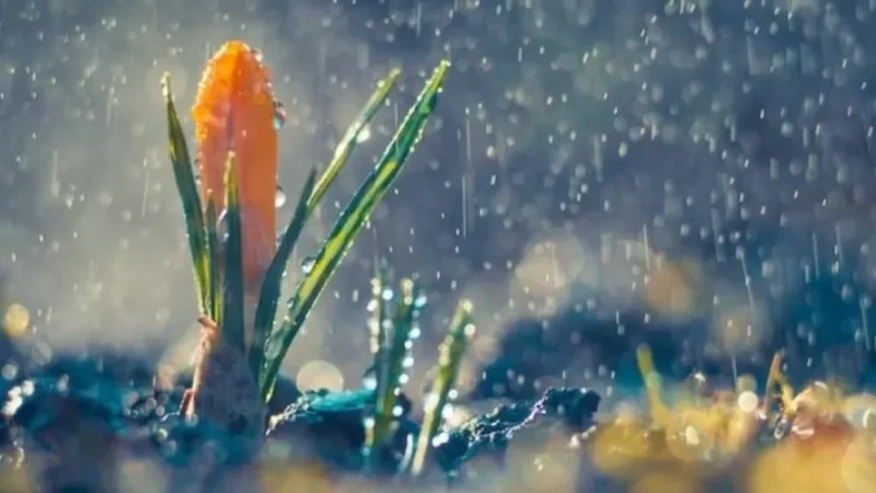 Առաջիկա օրերի եղանակը՝ ՀՀ տարածքում