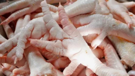 «Ռոսսելխոզնադզոր»-ը կարգելի Ադրբեջանից հավի տոտիկների ներկրումը